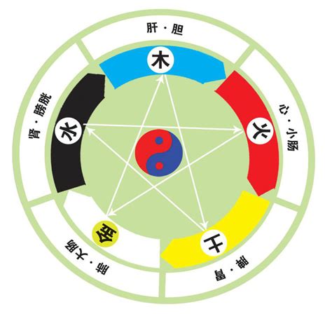 陰之水陰之木|五行相生相剋:五行,四季五行,相生相剋,概念對應,五行。